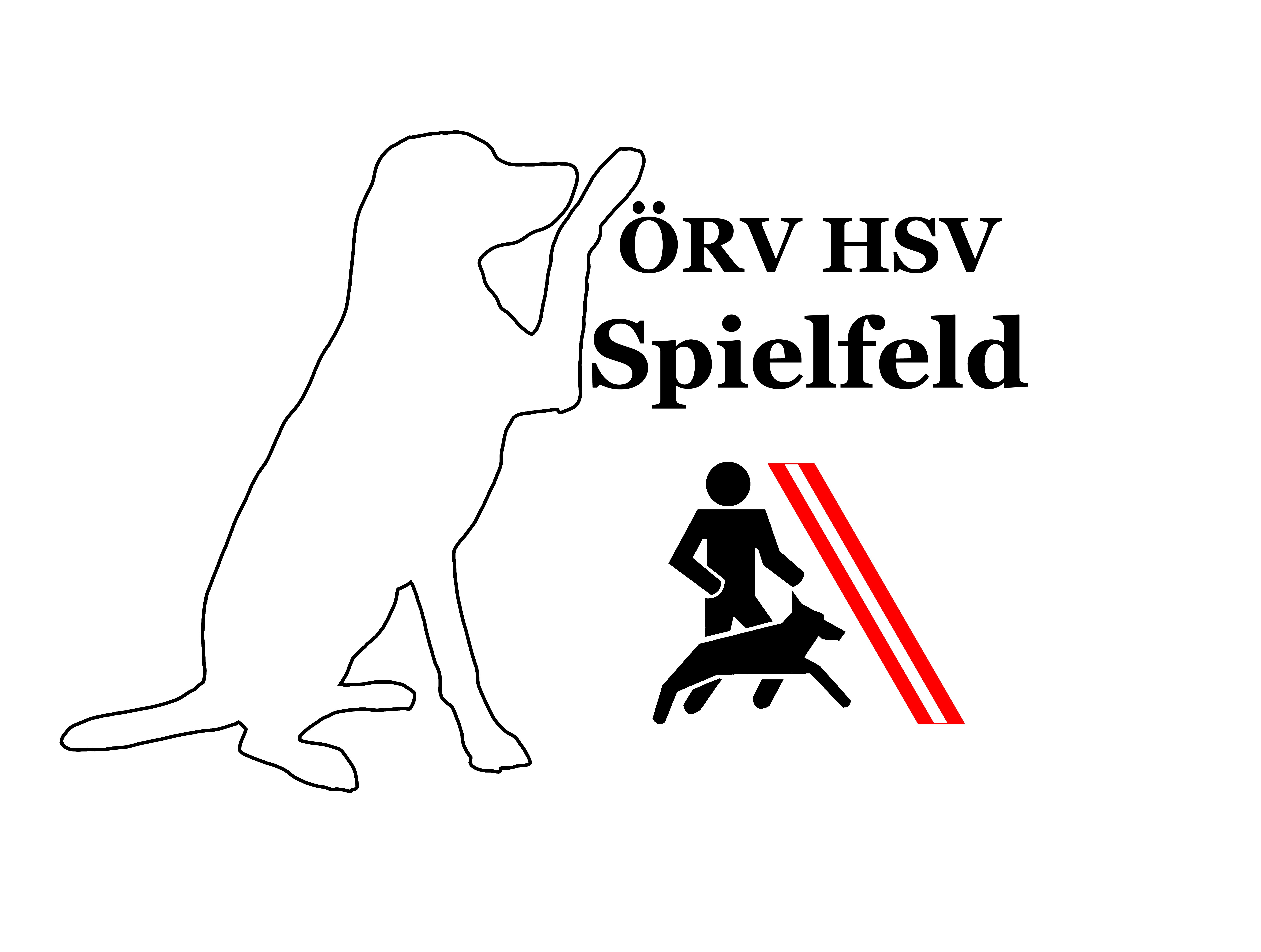 HSV Spielfeld